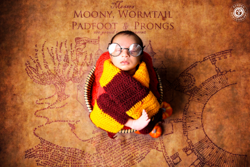 Harry Potter Album Cover