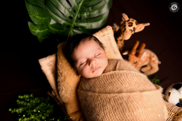 Safari Slumber