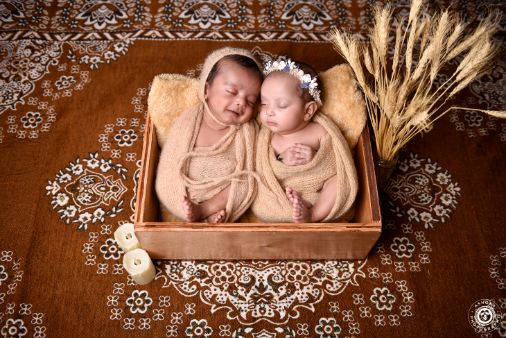 The Twin Crown Portrait